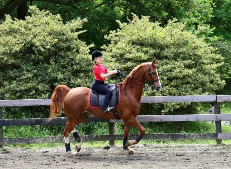 affordable mobile home for rent, broadview, sale, community, manufactured homes near me, unnamed