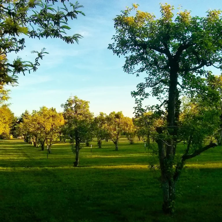 sale, affordable mobile home for rent, mobile, affordable, unnamed, affordable mobile home for sale